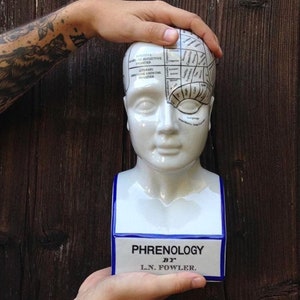 Phrenology head, palmistry hand statue, human bust, human mind statue, hand statue sold individually LN Fowler - large