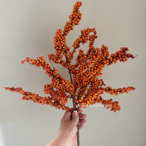 May include: A decorative artificial branch featuring numerous small, round, vibrant orange berries clustered along thin, brown, branching stems. The text Dawn Renee's Designs is printed in white script on the lower right side of the berry cluster.