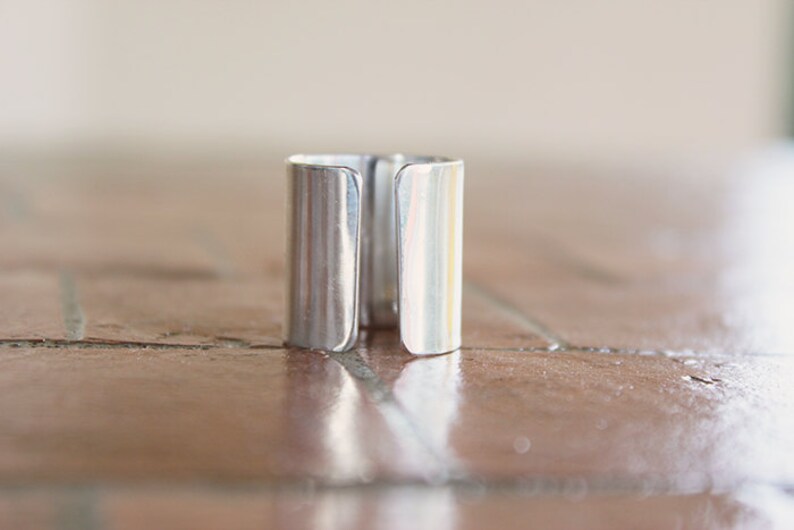 Statement 2 Separate Silver Rings in One Like Spiner Ring - Etsy