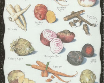 Framed Root Vegetables Color Print by Cook's Illustrated