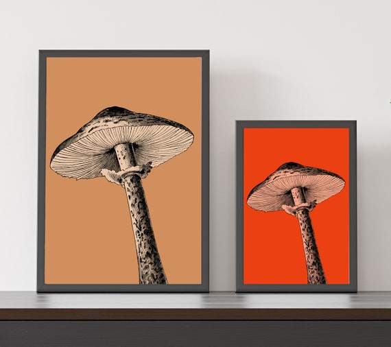 Mushroom Wall Art Giclée Prints / A3 + A4 / Red Blue Purple Mustard Orange Coffee Pink Teal Lilac Sage Green / Vintage Mushroom / Art Gift