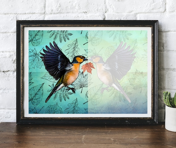 Chaffinch Bird Reflection Leaf Illustrated Original Artwork Giclee Print by Helen Temperley. A3 Or A4 Size.