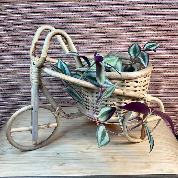 Vintage 1970s Bamboo Tricycle Plant Pot Holder / Retro Home Decor Accessory / 70s Decorative Item / House Plant Lover Gift / Cute Kitsch