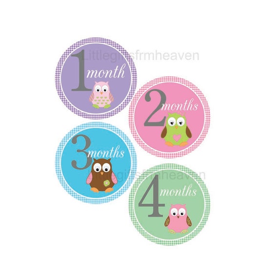 items similar to printable owl month stickers baby owl animal
