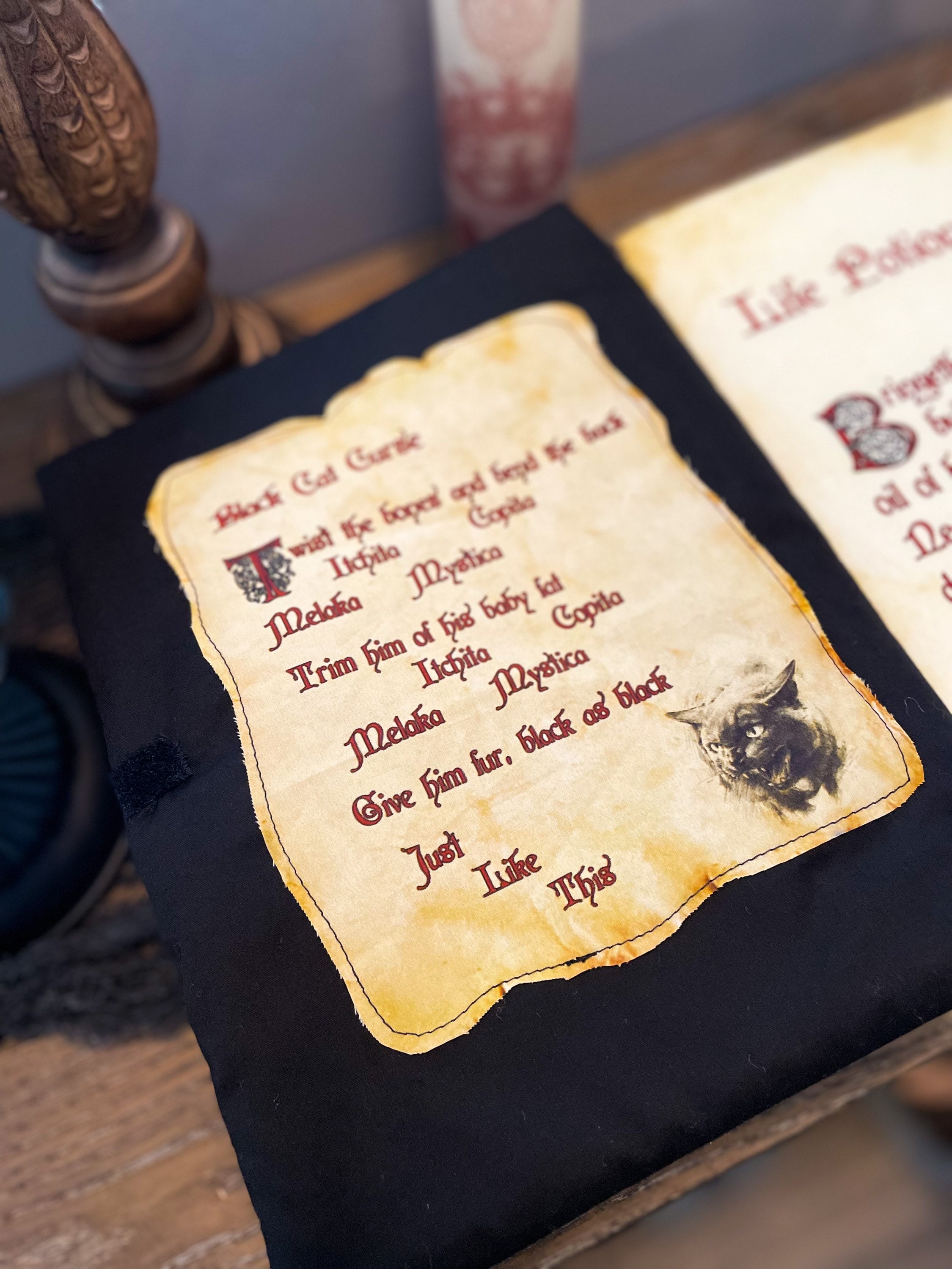 Spell Book Pillow