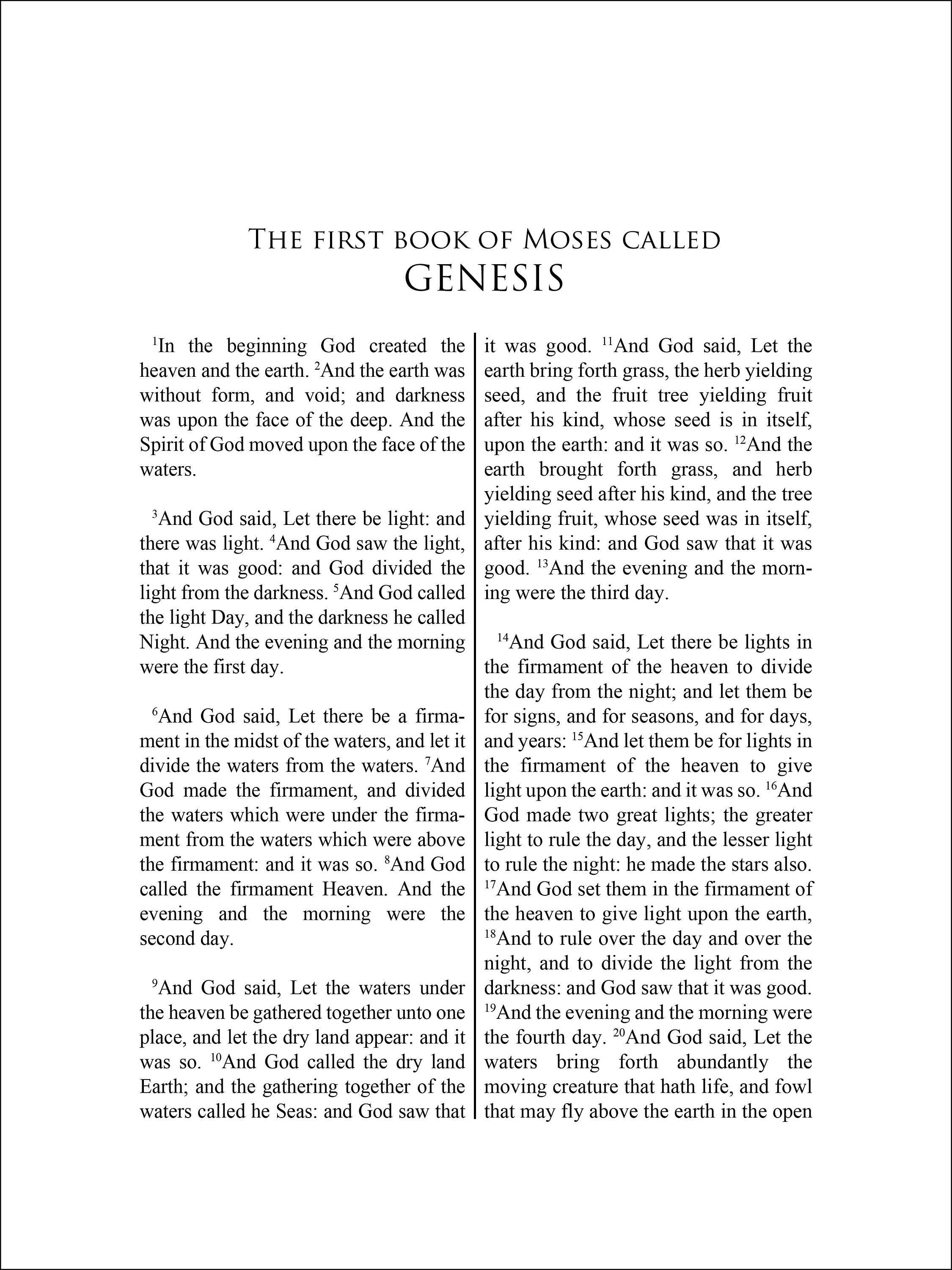 Holy Bible Pillow Book