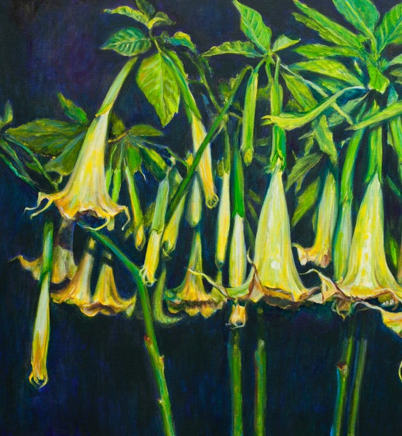 【F15号】 Angel's trumpet油画 油彩 oil painting Angels Trumpets Original Oil Painting Night Flowers Collectible