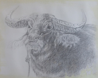 THE BULL Original SILVERPOINT Drawing Unique Artwork Collectible Art 32×41cm