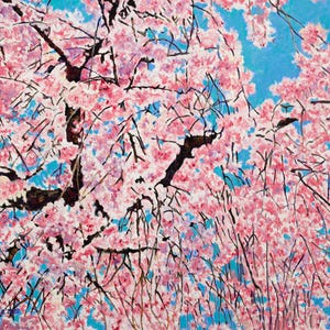 Pink Cherry Blossom Original Oil Painting Floral Spring Fresh Bloom Collectible Art 60x70cm