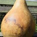 Dried Martin gourd, for crafts