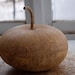 One Dried Canteen gourd, for crafts