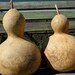 Two Dried Birdhouse gourds, for crafts