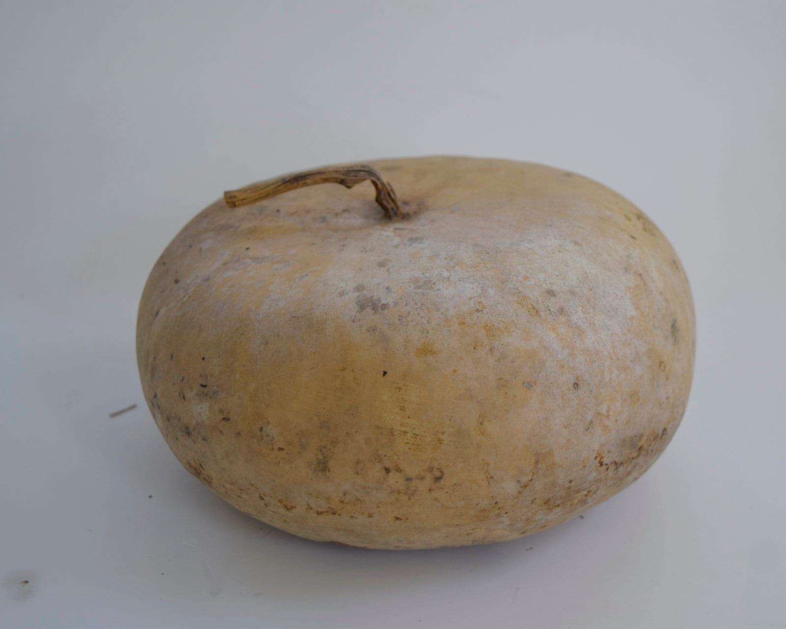 One Dried Canteen Gourd for Crafts Etsy