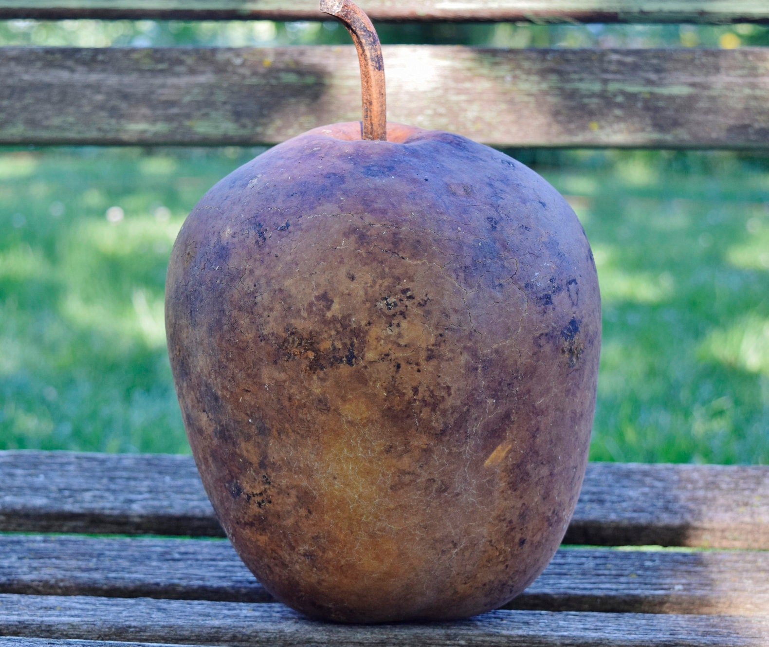 One Dried Apple gourd for crafts Etsy