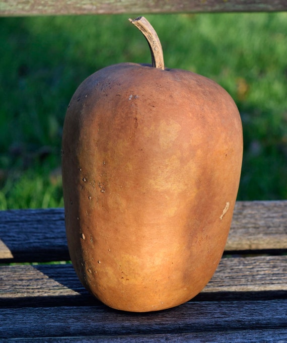 Craft Supplies & Tools Sculpting & Forming Carving & Whittling One