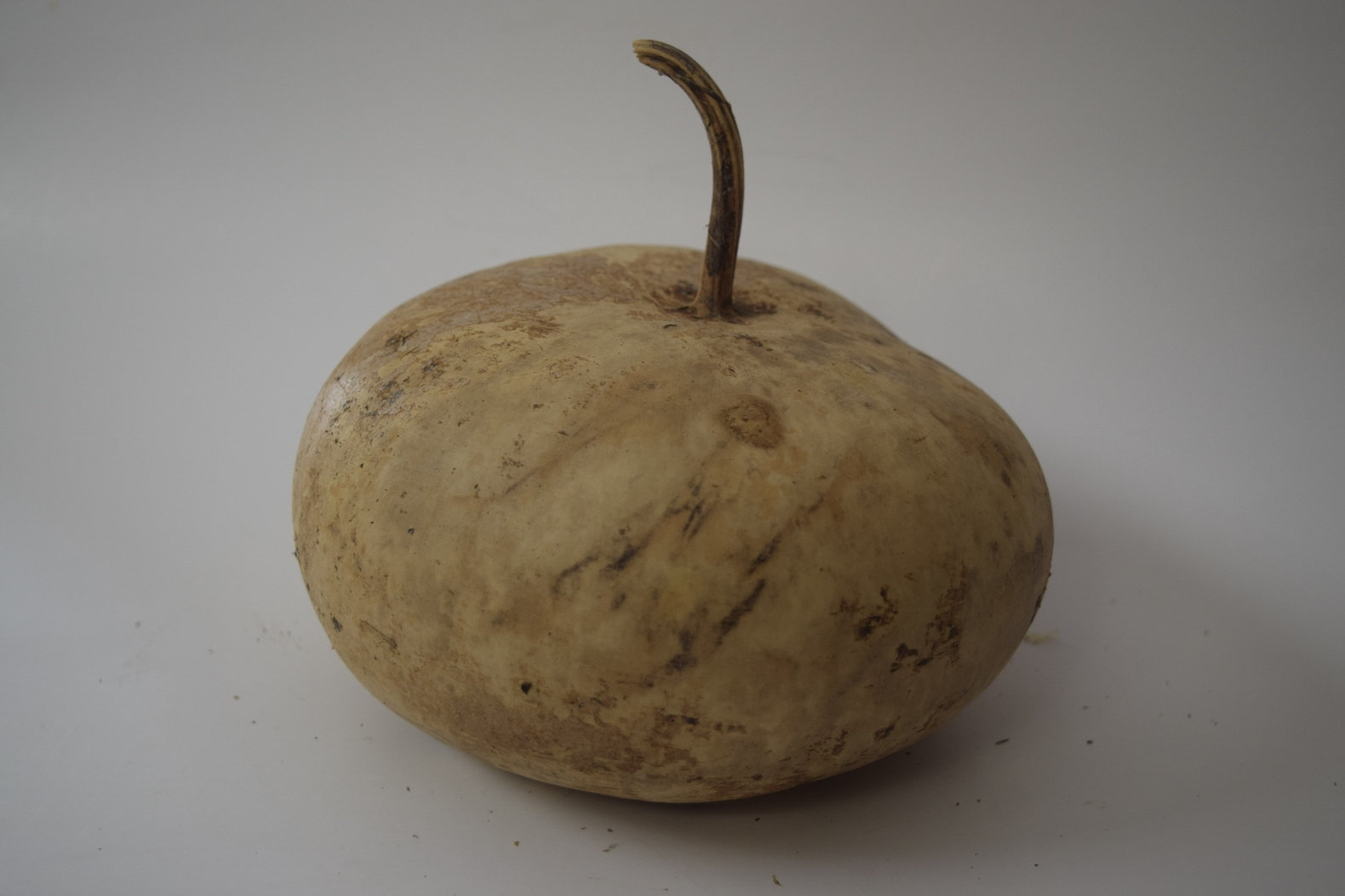 One Dried Canteen Gourd for Crafts Etsy