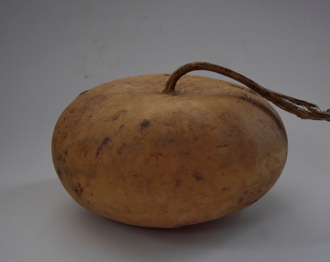One Dried Canteen Gourd, for Crafts Etsy