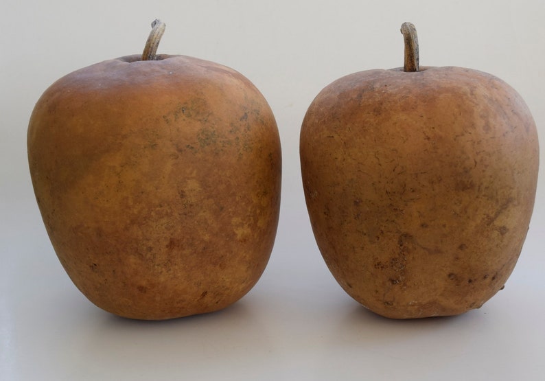 Two Dried Apple Gourds for Crafts Etsy