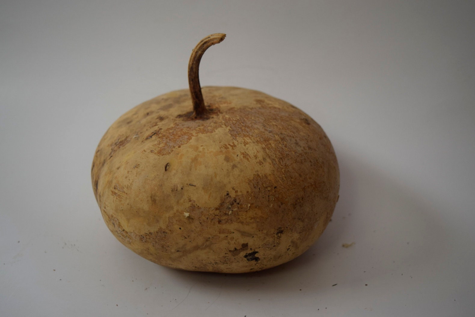 One Dried Canteen Gourd for Crafts Etsy