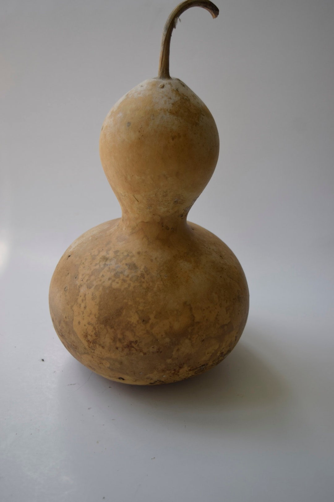 One Dried Clean Birdhouse Gourd for Crafts - Etsy