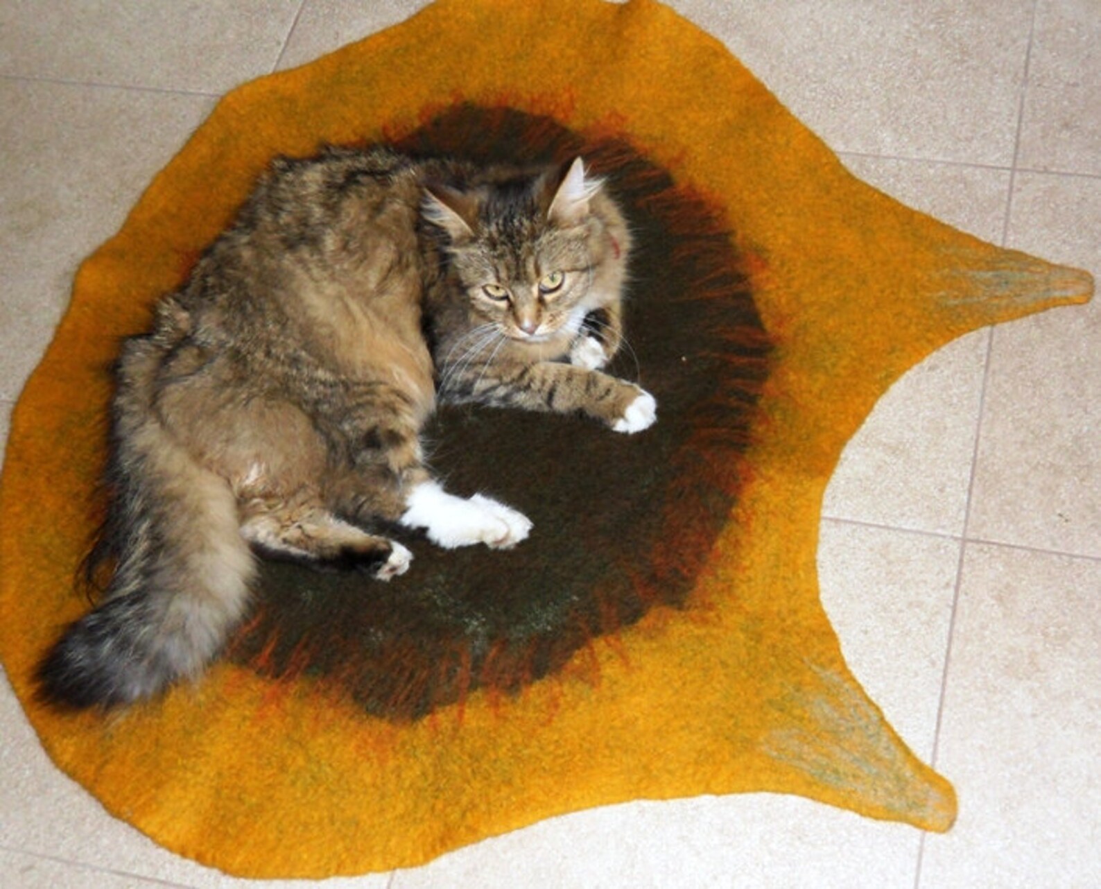 Felted Cat mat / Cat bed/ Sleeping place/ Cat pad Sauna mat Etsy