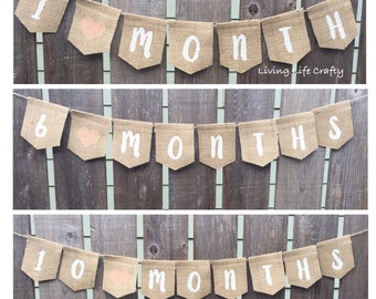 Baby Milestone Banner, Celebrate By Month, Monthly Photos, Burlap Bunting, Monthly Signs, First Year, Shower Gift, 1 - 12 months