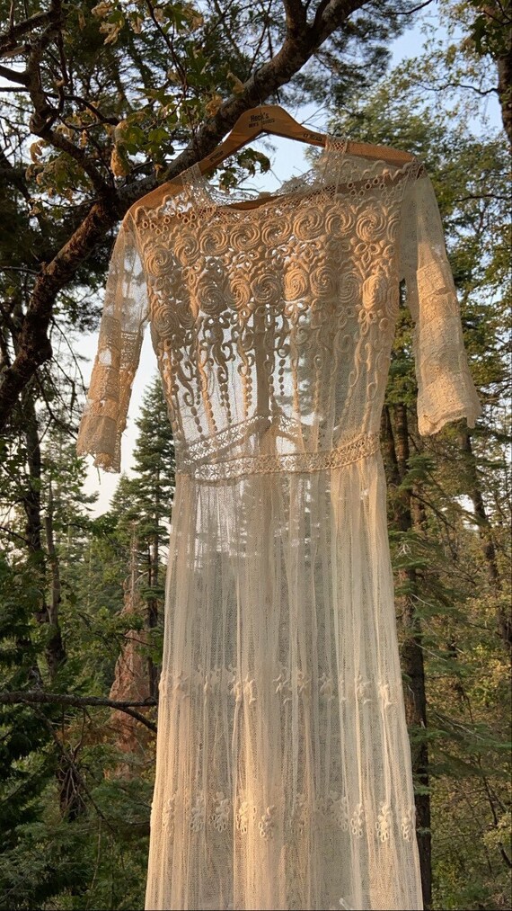 Antique Edwardian Dress Net Lace Garden Tea Dress