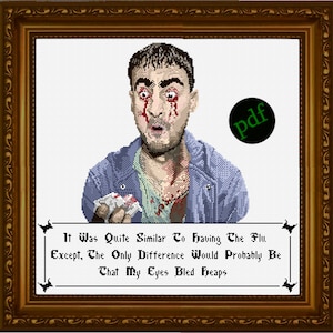 Puede incluir: Obra de arte de punto de cruz en un marco dorado que representa a un hombre con los ojos inyectados en sangre y sangre corriendo por su rostro. El texto dice: "Era bastante similar a tener la gripe, excepto que la única diferencia probablemente sería que mis ojos sangraban a chorros."