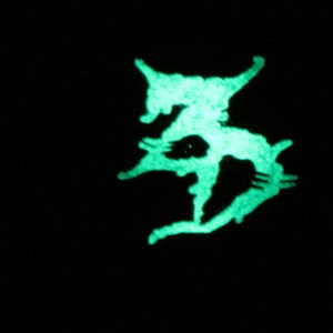 ZD White Glow in the Dark EDM Raver Dubstep Bass Music Festival Enamel Lapel Hat Pin