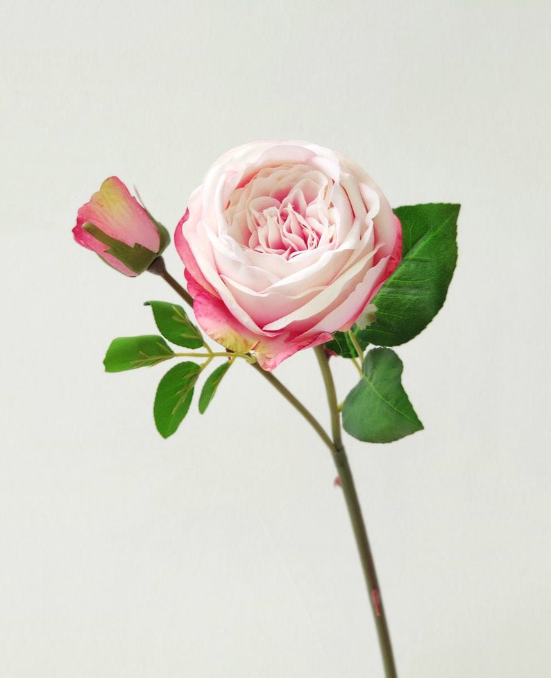 2pcs Pink Garden Rose Roses Silk Flower David Austin Rose Silk Flowers for DIY Wedding Bridal Bouquet Floral Arrangement Home Decor