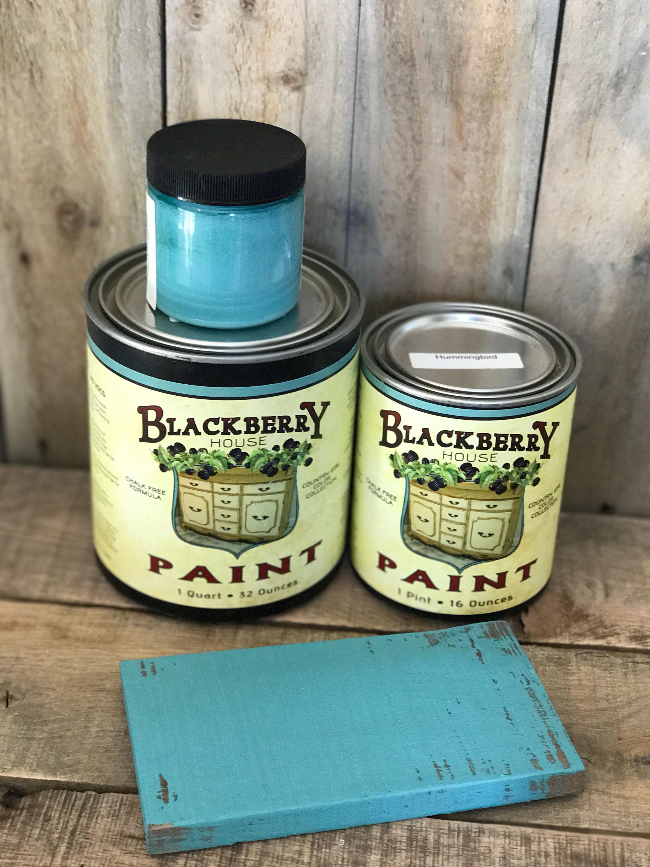 Hummingbird Teal Paint Turquoise Blackberry House Home Decor Furniture