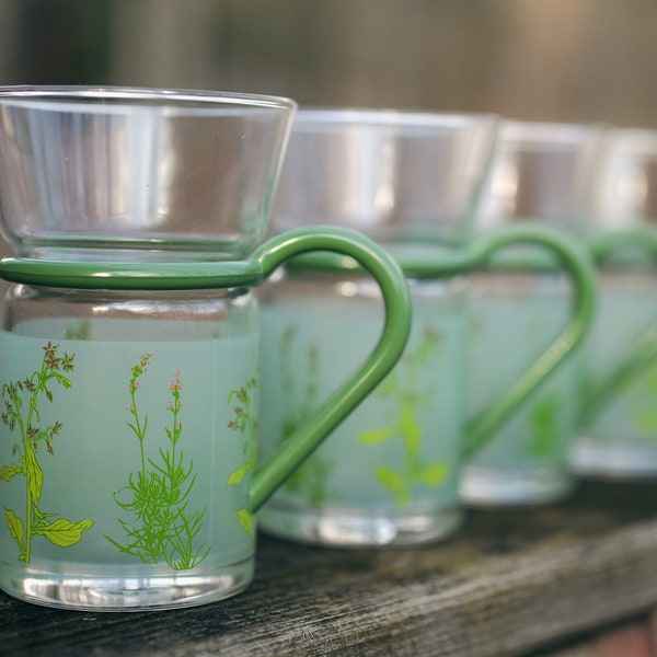 Set of Four Vintage Frosted Tea Glasses with Botanical Print and Green Plastic Handles, Perfect Condition, Inspiration Glassware