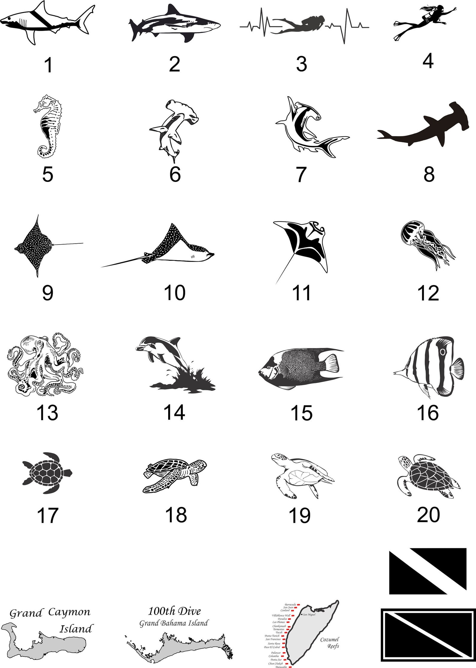 Scuba diver BCD ID tags. Custom engraving. Etsy