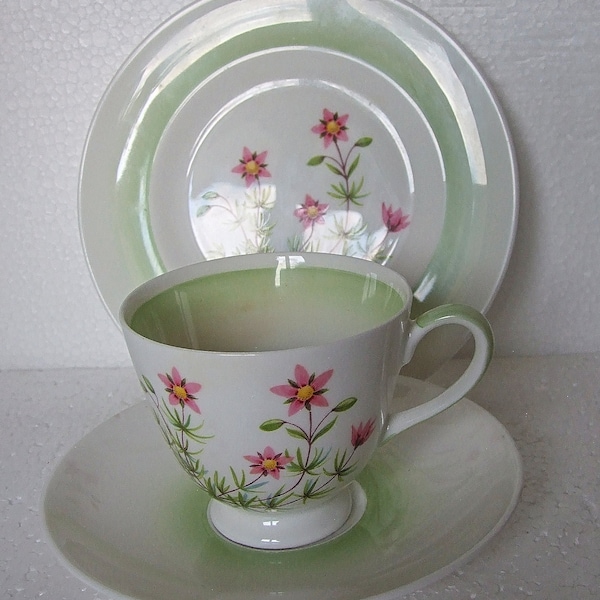 Vintage Tuscan  Pastel Green Meadowsweet Trio Cup Saucer And Tea plate 1920