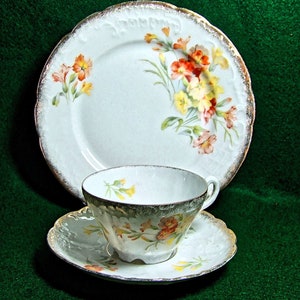 C.T  Altwasser, Hutschenreuther Germany Fine China Floral Embossed  Trio  Cup,Saucer and side plate