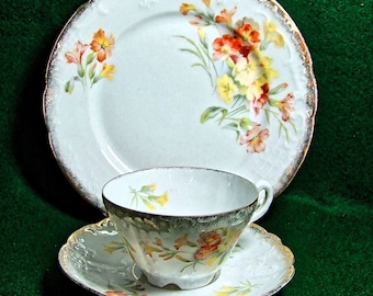 C.T  Altwasser, Hutschenreuther Germany Fine China Floral Embossed  Trio  Cup,Saucer and side plate