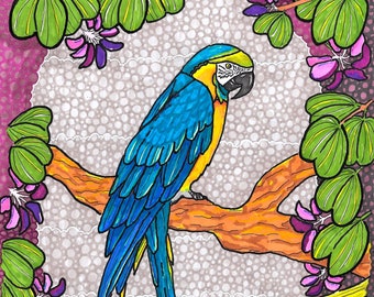 Blue and Gold Macaw Giclée Fine Art Print - A4 and A3 sizes available