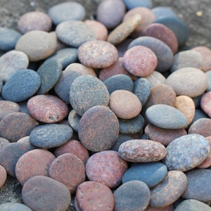 Round Sea Stones Bulk 100 pcs SMALL image 5