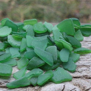 Kelly Green Sea Glass Bulk  Beach Glass Bulk Sea Glass Art Supplies SMALL