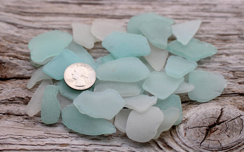 Sea Glass Tulips, Genuine Sea Beach Glass Framed Art, RARE Color Tulips