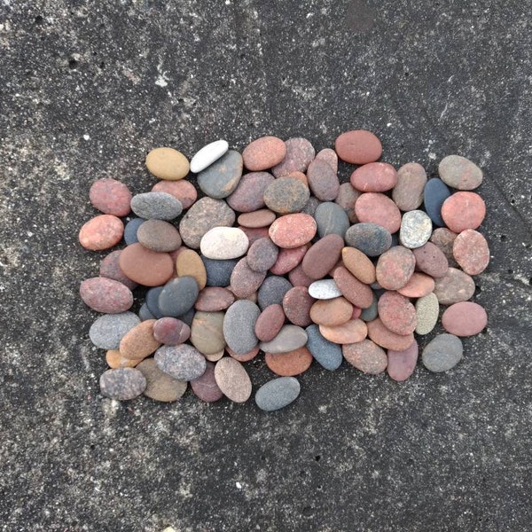 Oblong Tiny Beach Stones 100 pcs