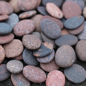 Piedras marinas medianas a granel 60 piezas Piedras de playa