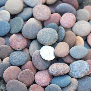 Round Sea Stones Bulk 100 pcs SMALL image 6