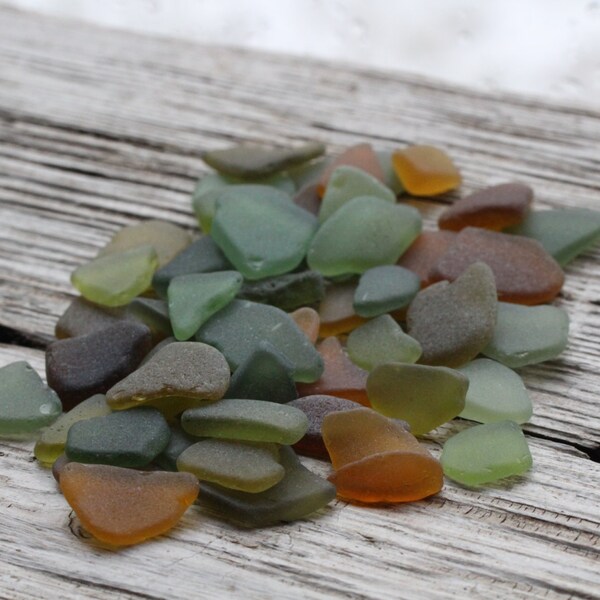 Tiny Olive Green Amber Tiny Sea Glass Bulk