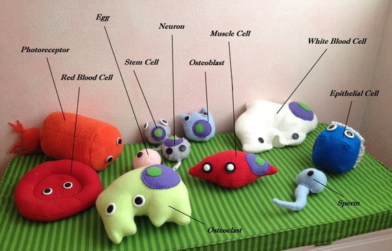 cell plush