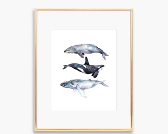 Watercolour Whale Trio Art Print, Killer Whale, Orca, Humpback whale, Gray Whale, Under the Sea, Blackfish, home decor