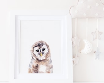 Woodland Animal Nursery Decor Art Prints, Baby Owl art print, arredamento gufo, regali gufo, stampa gufo, arte gufo acquerello