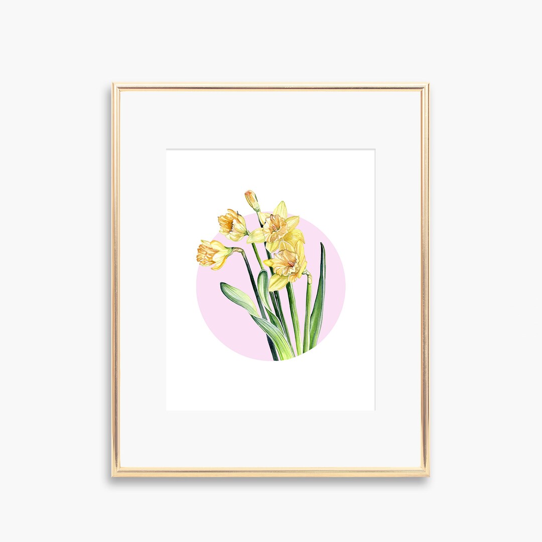 Yellow Sunshine Daffodil Watercolour Art Print - Floral Illustration ...