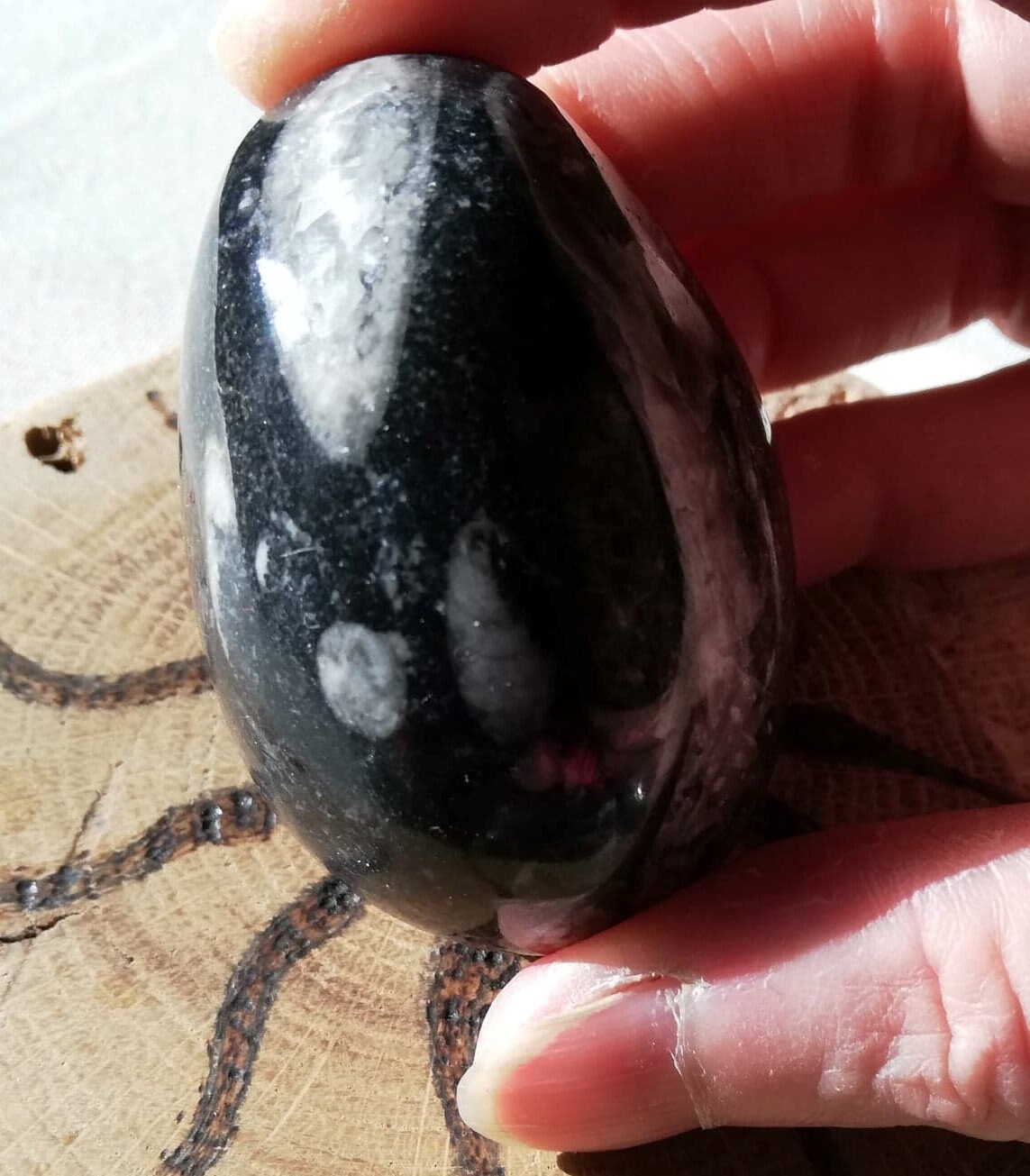 Orthocerus Fossil Egg/Aprox 5.5cm Fossile Décoration d'intérieur Outil de Méditation