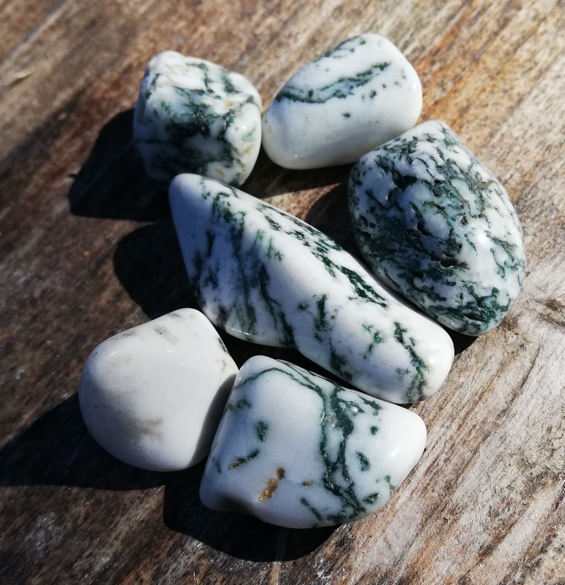 Agate d'arbre Tumblestone, Agate Dendritique, Cristal Tumbled, de Guérison, Pierre d'agate, Tumble